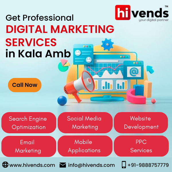 Digital Marketing Company in Kala Amb